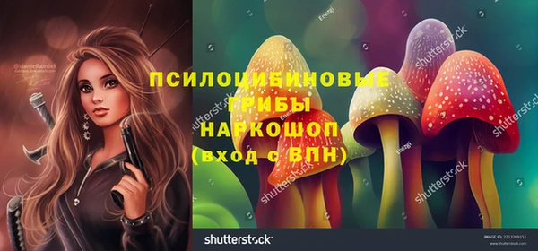 не бодяженный Осташков