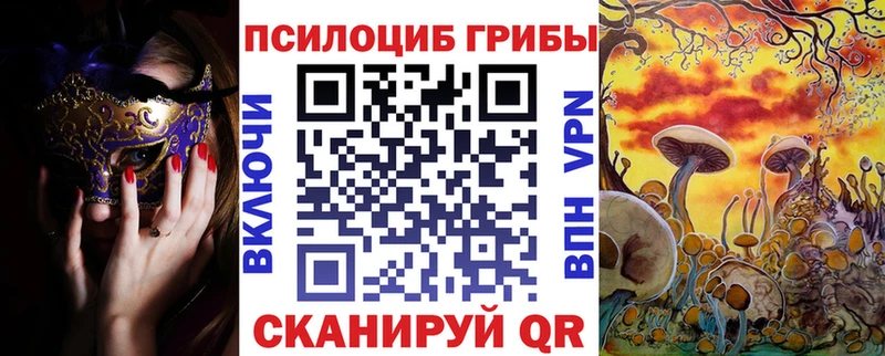 hydra ONION  хочу наркоту  Хотьково  Псилоцибиновые грибы Psilocybe 